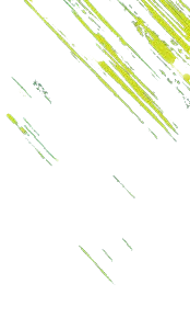 green_background_ removebg preview